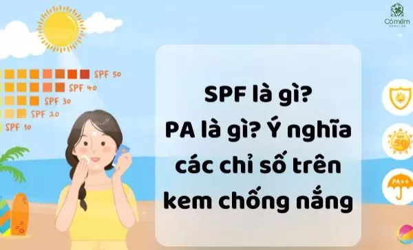 chỉ số spf là gì